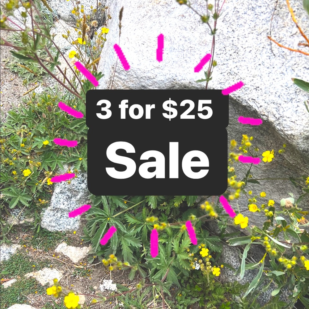 Alll items listed with 🌞 (3/$25) are 3 items for $25.
